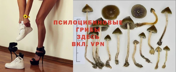а пвп мука Баксан